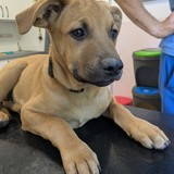 PXL_20250630_162203327.MP