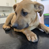 PXL_20250630_162207190