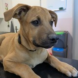 PXL_20250630_162214604