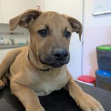 PXL_20250630_162216733