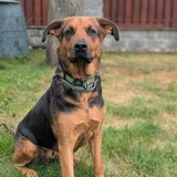 PXL_20250713_121956497.PORTRAIT