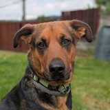 PXL_20250713_122021602.PORTRAIT