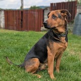 PXL_20250713_122043798.PORTRAIT