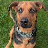 PXL_20250713_122055485.PORTRAIT