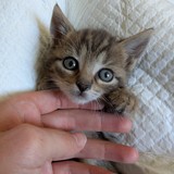 FB_IMG_1752646288404