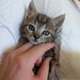 FB_IMG_1752646282052