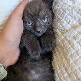 FB_IMG_1752646285692