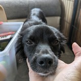 PXL_20250720_140842310