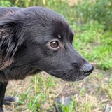 PXL_20250720_180900856.PORTRAIT