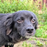 PXL_20250720_180903858.PORTRAIT~3