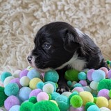 PXL_20250720_153249656.PORTRAIT