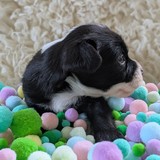 PXL_20250720_153305972.PORTRAIT