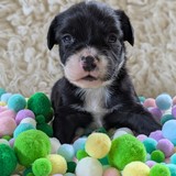 PXL_20250720_153433140.PORTRAIT