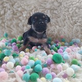 IMG-20250720-WA0058~2