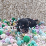 IMG-20250720-WA0033~2