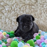 PXL_20250720_153522512.PORTRAIT