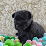 PXL_20250720_153535840.PORTRAIT