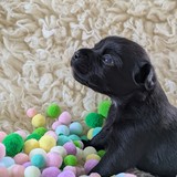 PXL_20250720_153909296.PORTRAIT