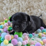 PXL_20250720_153933125.PORTRAIT