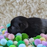 PXL_20250720_153646568.PORTRAIT