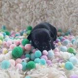 IMG-20250720-WA0079~2