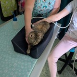 PXL_20250625_071132150 (1)