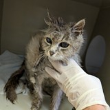 PXL_20250625_083032007