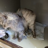 PXL_20250625_083035462