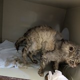 PXL_20250625_083039003.MP