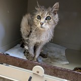 PXL_20250625_083106678