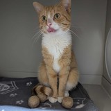 69507212-2766-4161-ba23-0cc01995c581