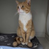 d115d361-0ea3-4054-aeac-98bd0102c61f