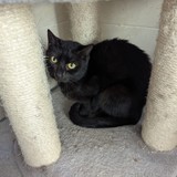 3f068c2e-150e-4d58-8d86-45f9d69065c8