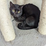 18ef9ba5-bc2d-409d-9c5b-80a43510b84b