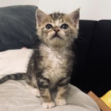 21077ca1-098f-412e-bbd7-e29358361854