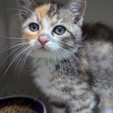 4ADBBDD8-6D46-432B-BFFA-797A55D5730A