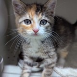 c7dde3f3-7668-4273-9626-501c1dae015c