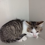 28545d14-751c-452a-a3eb-0d12f6013b53