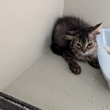 0ccfb360-e242-42d3-8f82-d3271396d720