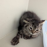 5b168fc7-dc18-488b-b373-0c47a2b78ea5