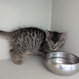 e952704f-d001-4da3-9cf1-07428e636457