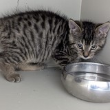 a711c403-f407-472b-a9e6-c3e7bc2ab75a