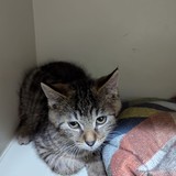 16e58cd9-8486-4419-874e-e12dcfc85a31