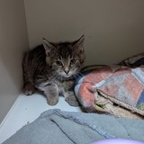 4d6991ef-953c-42a6-bbb2-3dc342d6f073