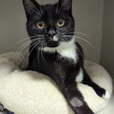 e39a850f-f70b-47e0-910a-542d51fdeb74