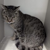 3b4b1235-3207-45c1-b39d-3cdd354c3057