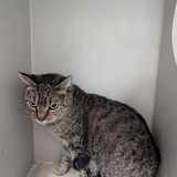 b18aeb2a-ccf2-4997-90e5-3eddeb1210d1