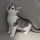 ce0e7733-2f38-4c65-ac34-6b041ad2ec7e