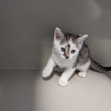 a8ea6892-657b-40be-bc59-793a536348ea