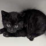 5ef15e6b-45cc-4e1e-93b0-f0fcbee038b3